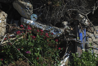 landscape with disc, Albany Bulb
